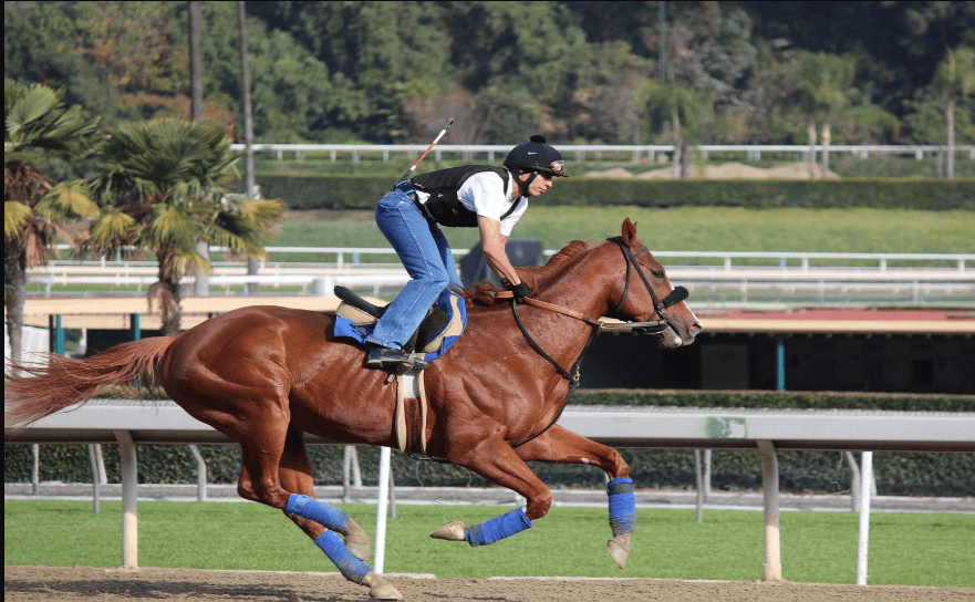 The Training Regimen of Top Jockeys