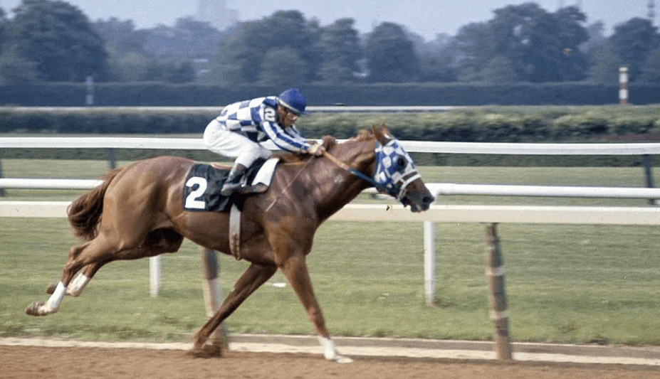 The Tradition of the Belmont Stakes