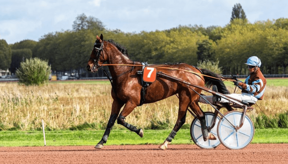 The Timeless Appeal of Horse Racing Across Generations