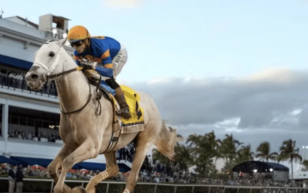 cplemaire || cplemaire couplé du jour || cplemaire la voyeuse || cplemaire 18 || cplemaire pmu || cplemaire turf